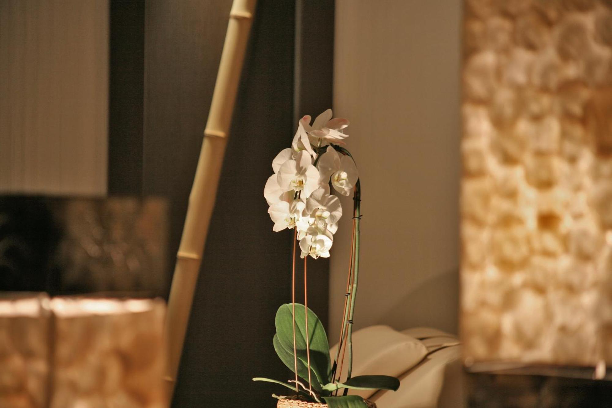 Hotel & Spa Waldecker Hof 维林根 外观 照片